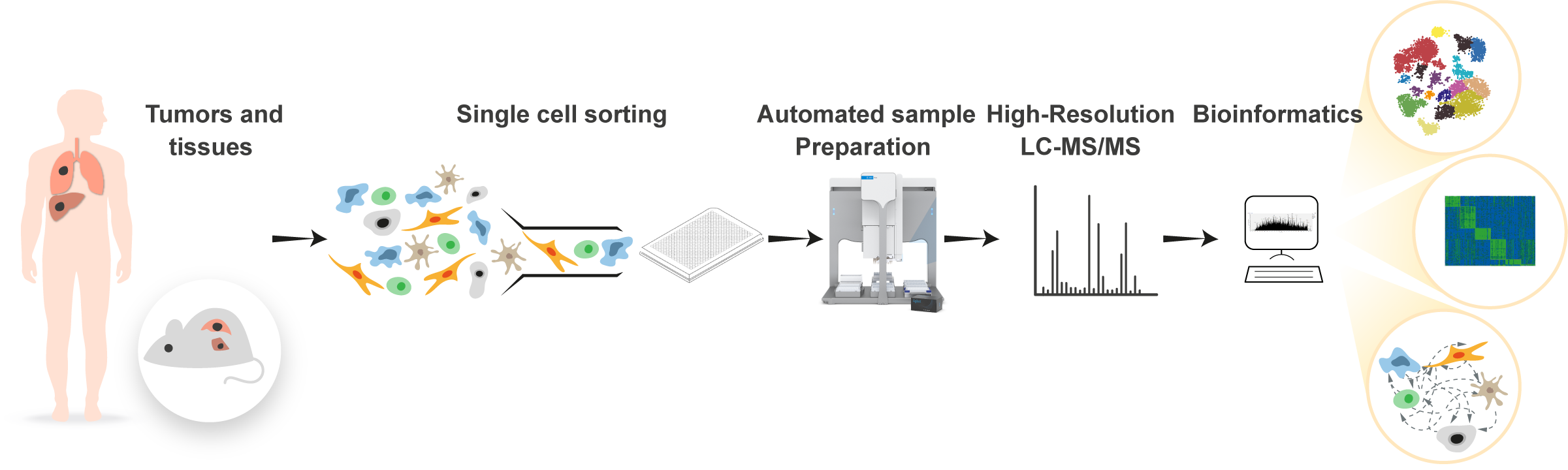 Single Cell Proteomics | Tami Geiger